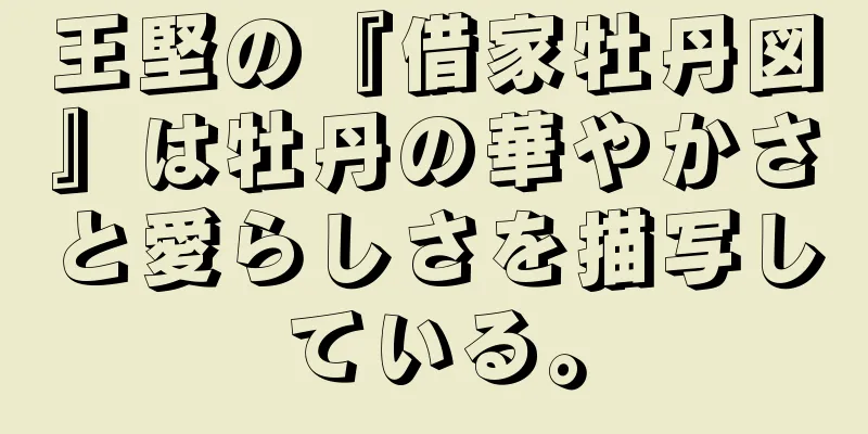 王堅の『借家牡丹図』は牡丹の華やかさと愛らしさを描写している。