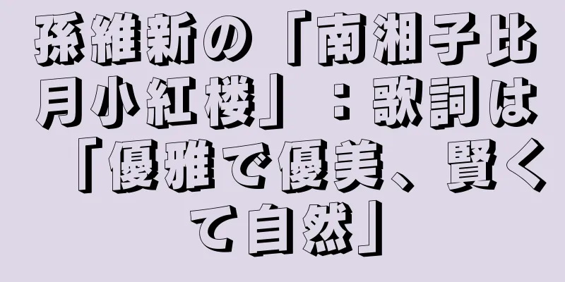 孫維新の「南湘子比月小紅楼」：歌詞は「優雅で優美、賢くて自然」