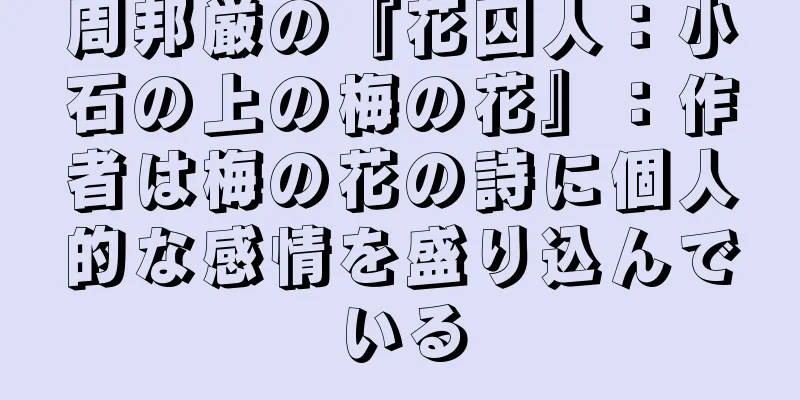 周邦厳の『花囚人：小石の上の梅の花』：作者は梅の花の詩に個人的な感情を盛り込んでいる
