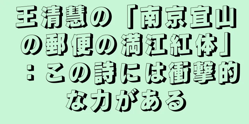 王清慧の「南京宜山の郵便の満江紅体」：この詩には衝撃的な力がある