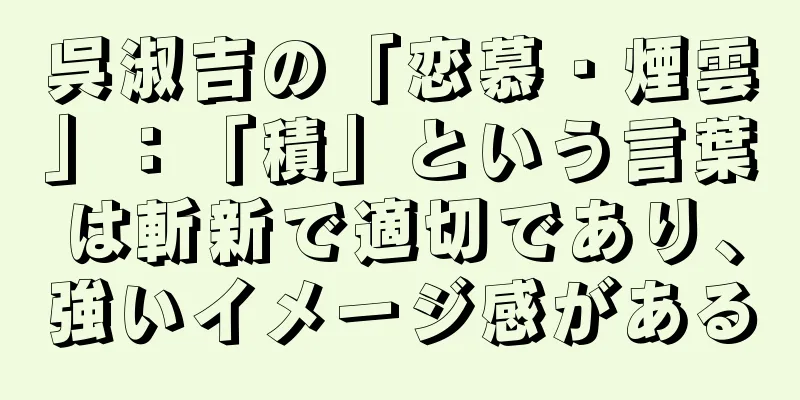 呉淑吉の「恋慕・煙雲」：「積」という言葉は斬新で適切であり、強いイメージ感がある