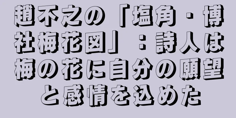 趙不之の「塩角・博社梅花図」：詩人は梅の花に自分の願望と感情を込めた