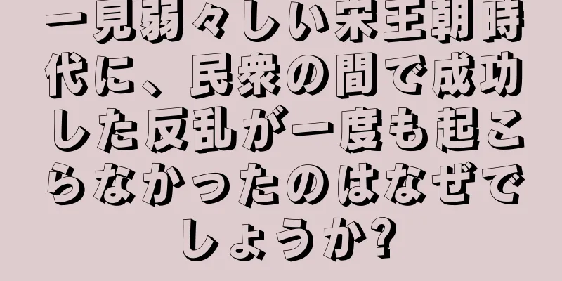 一見弱々しい宋王朝時代に、民衆の間で成功した反乱が一度も起こらなかったのはなぜでしょうか?