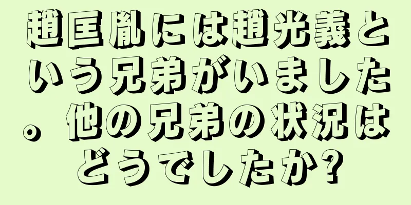 趙匡胤には趙光義という兄弟がいました。他の兄弟の状況はどうでしたか?