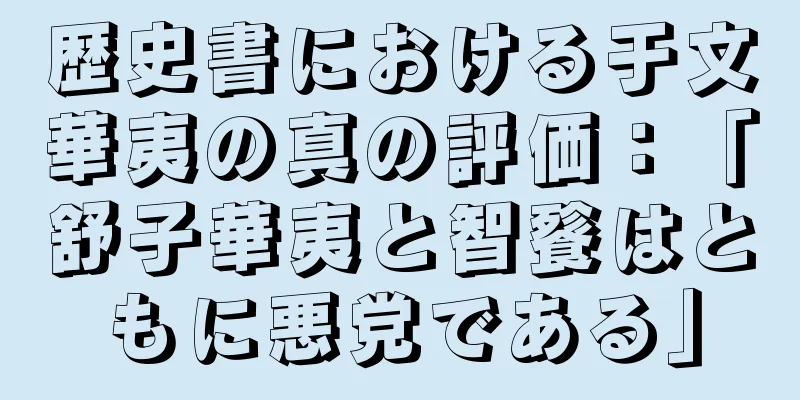 歴史書における于文華夷の真の評価：「舒子華夷と智餮はともに悪党である」