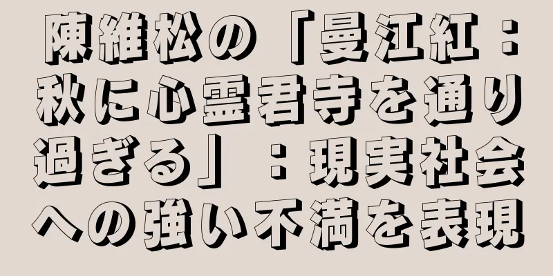 陳維松の「曼江紅：秋に心霊君寺を通り過ぎる」：現実社会への強い不満を表現