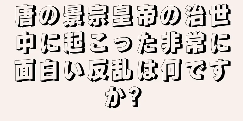 唐の景宗皇帝の治世中に起こった非常に面白い反乱は何ですか?