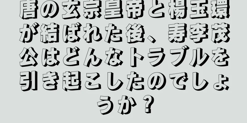 唐の玄宗皇帝と楊玉環が結ばれた後、寿李茂公はどんなトラブルを引き起こしたのでしょうか？