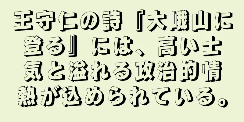 王守仁の詩『大峨山に登る』には、高い士気と溢れる政治的情熱が込められている。