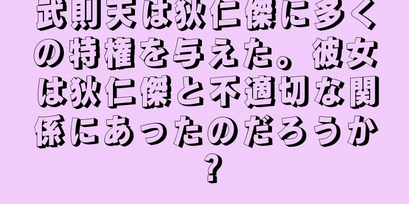 武則天は狄仁傑に多くの特権を与えた。彼女は狄仁傑と不適切な関係にあったのだろうか？