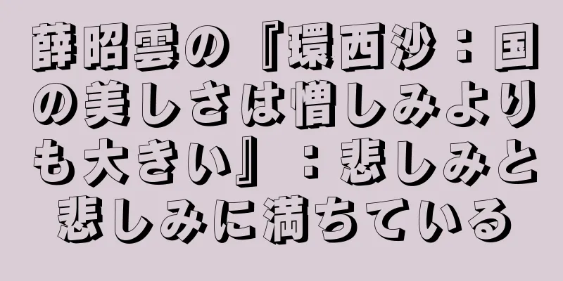 薛昭雲の『環西沙：国の美しさは憎しみよりも大きい』：悲しみと悲しみに満ちている