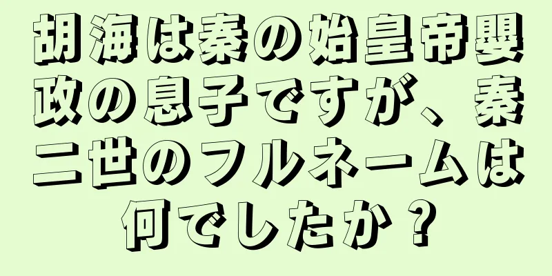 胡海は秦の始皇帝嬰政の息子ですが、秦二世のフルネームは何でしたか？