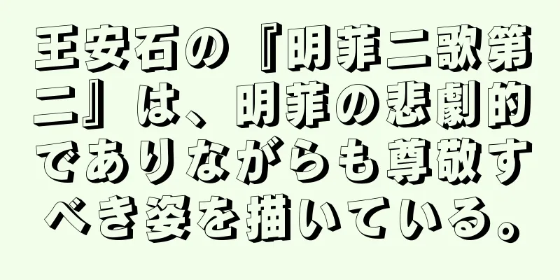 王安石の『明菲二歌第二』は、明菲の悲劇的でありながらも尊敬すべき姿を描いている。