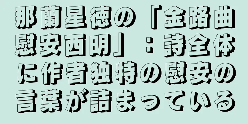 那蘭星徳の「金路曲慰安西明」：詩全体に作者独特の慰安の言葉が詰まっている