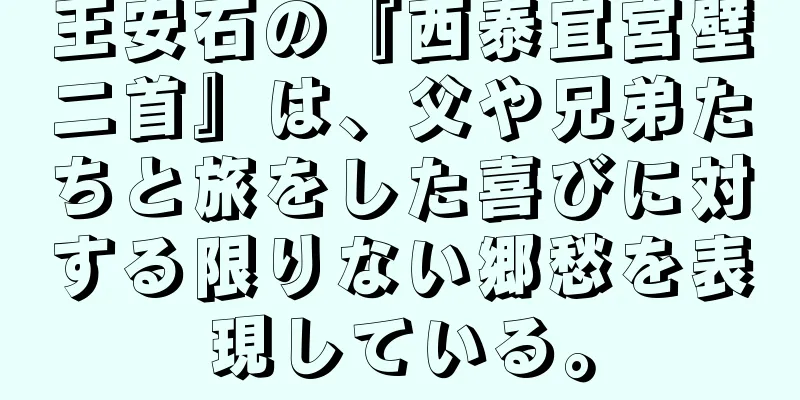 王安石の『西泰宜宮壁二首』は、父や兄弟たちと旅をした喜びに対する限りない郷愁を表現している。