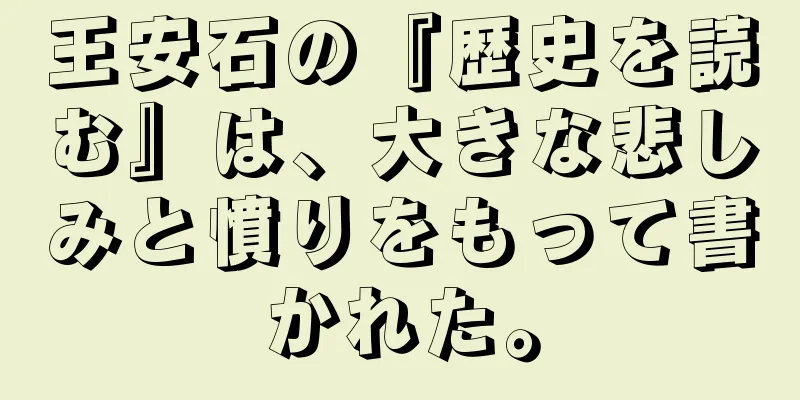 王安石の『歴史を読む』は、大きな悲しみと憤りをもって書かれた。
