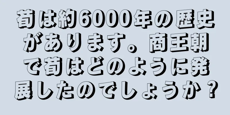 荀は約6000年の歴史があります。商王朝で荀はどのように発展したのでしょうか？