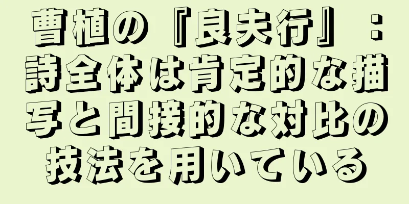 曹植の『良夫行』：詩全体は肯定的な描写と間接的な対比の技法を用いている
