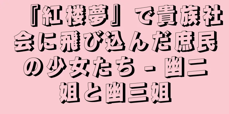 『紅楼夢』で貴族社会に飛び込んだ庶民の少女たち - 幽二姐と幽三姐