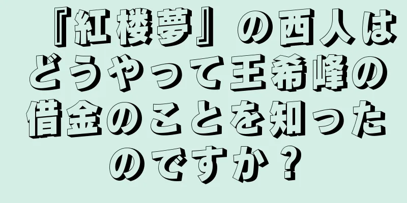 『紅楼夢』の西人はどうやって王希峰の借金のことを知ったのですか？