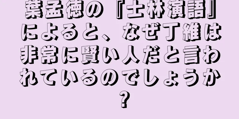 葉孟徳の『士林演語』によると、なぜ丁維は非常に賢い人だと言われているのでしょうか？