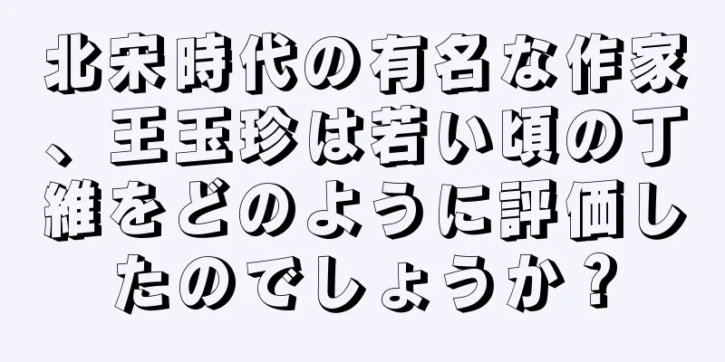 北宋時代の有名な作家、王玉珍は若い頃の丁維をどのように評価したのでしょうか？