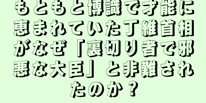 もともと博識で才能に恵まれていた丁維首相がなぜ「裏切り者で邪悪な大臣」と非難されたのか？