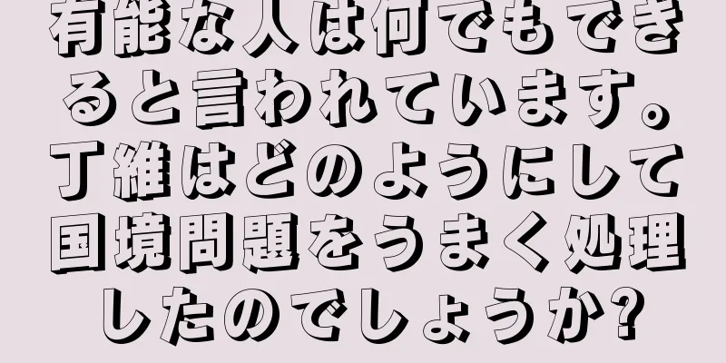 有能な人は何でもできると言われています。丁維はどのようにして国境問題をうまく処理したのでしょうか?