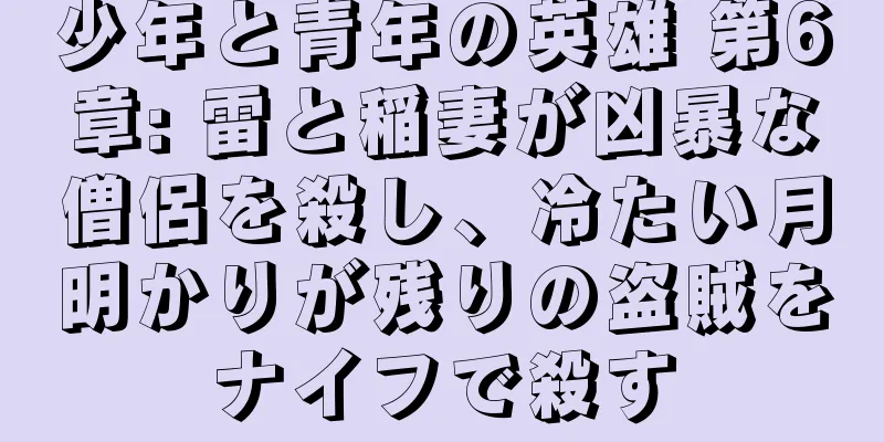 少年と青年の英雄 第6章: 雷と稲妻が凶暴な僧侶を殺し、冷たい月明かりが残りの盗賊をナイフで殺す