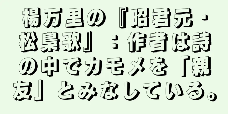 楊万里の『昭君元・松梟歌』：作者は詩の中でカモメを「親友」とみなしている。