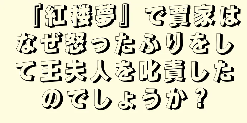 『紅楼夢』で賈家はなぜ怒ったふりをして王夫人を叱責したのでしょうか？