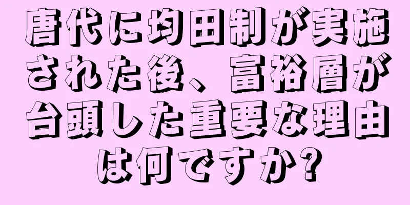 唐代に均田制が実施された後、富裕層が台頭した重要な理由は何ですか?