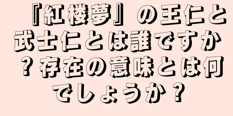 『紅楼夢』の王仁と武士仁とは誰ですか？存在の意味とは何でしょうか？
