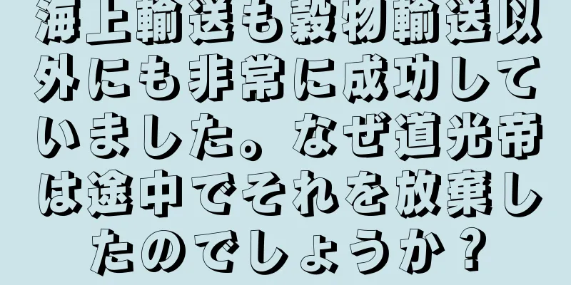 海上輸送も穀物輸送以外にも非常に成功していました。なぜ道光帝は途中でそれを放棄したのでしょうか？
