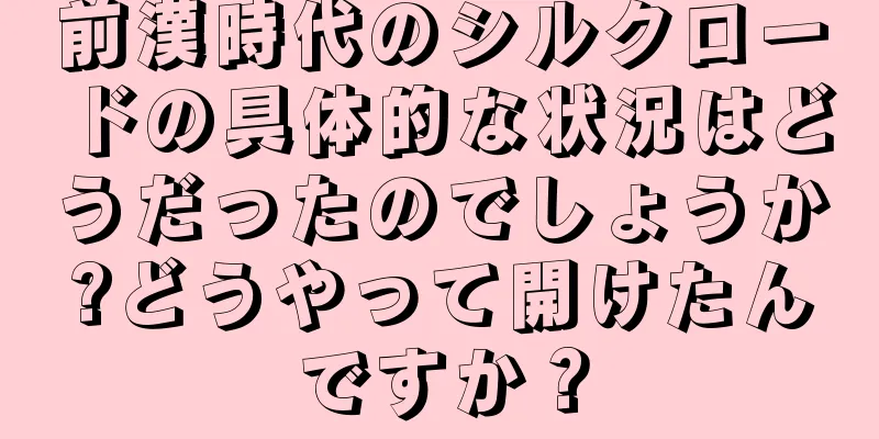 前漢時代のシルクロードの具体的な状況はどうだったのでしょうか?どうやって開けたんですか？