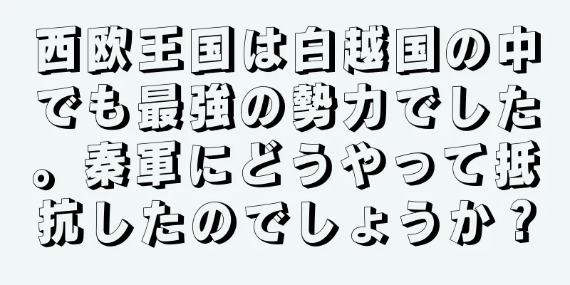 西欧王国は白越国の中でも最強の勢力でした。秦軍にどうやって抵抗したのでしょうか？