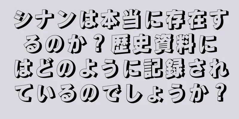 シナンは本当に存在するのか？歴史資料にはどのように記録されているのでしょうか？