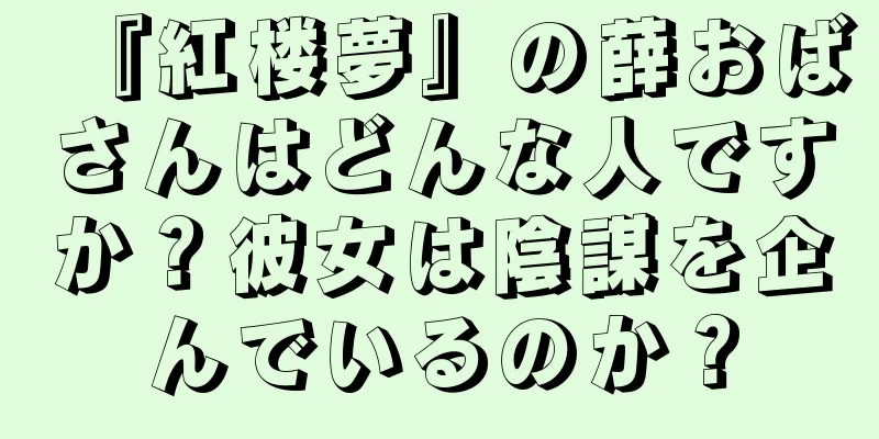 『紅楼夢』の薛おばさんはどんな人ですか？彼女は陰謀を企んでいるのか？