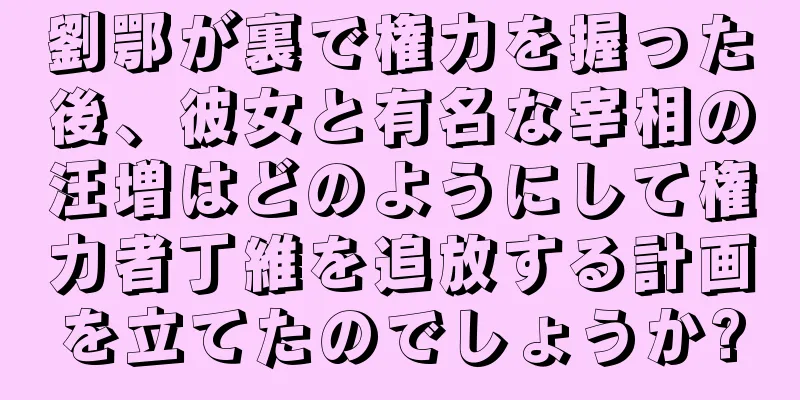 劉鄂が裏で権力を握った後、彼女と有名な宰相の汪増はどのようにして権力者丁維を追放する計画を立てたのでしょうか?
