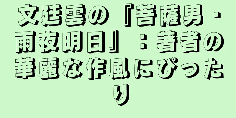 文廷雲の『菩薩男・雨夜明日』：著者の華麗な作風にぴったり