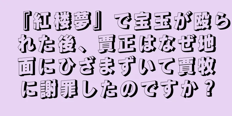 『紅楼夢』で宝玉が殴られた後、賈正はなぜ地面にひざまずいて賈牧に謝罪したのですか？