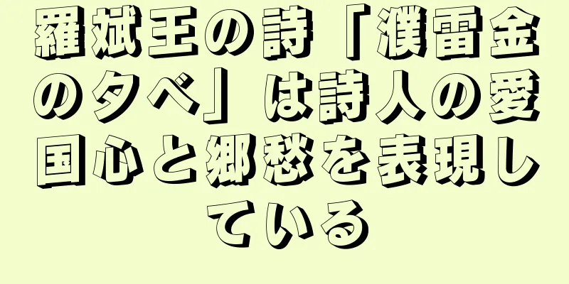 羅斌王の詩「濮雷金の夕べ」は詩人の愛国心と郷愁を表現している