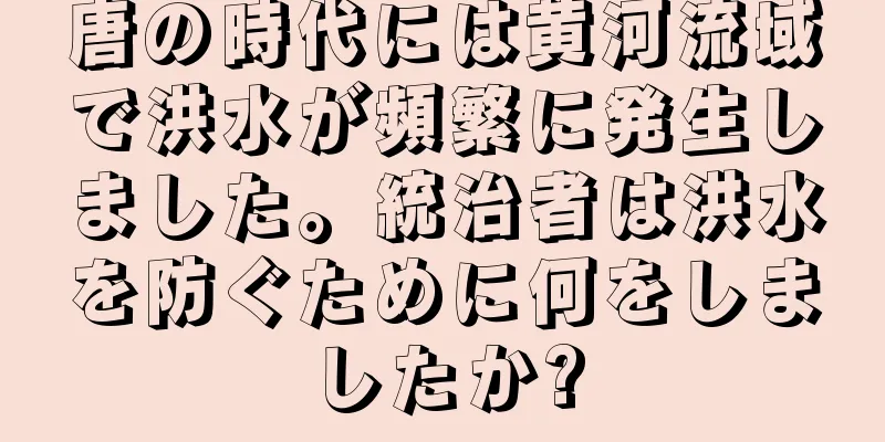 唐の時代には黄河流域で洪水が頻繁に発生しました。統治者は洪水を防ぐために何をしましたか?