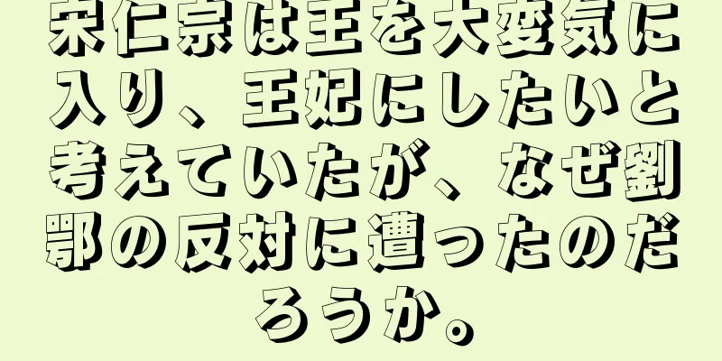 宋仁宗は王を大変気に入り、王妃にしたいと考えていたが、なぜ劉鄂の反対に遭ったのだろうか。