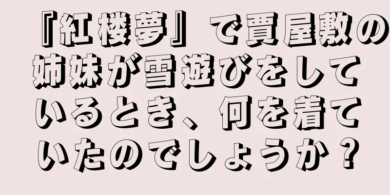 『紅楼夢』で賈屋敷の姉妹が雪遊びをしているとき、何を着ていたのでしょうか？