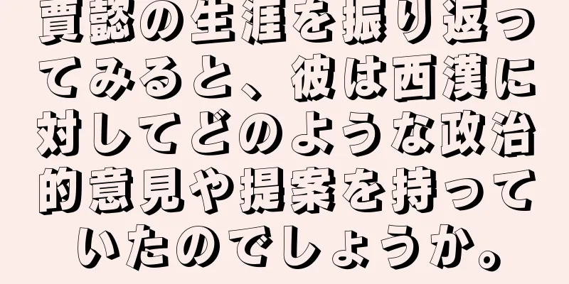賈懿の生涯を振り返ってみると、彼は西漢に対してどのような政治的意見や提案を持っていたのでしょうか。