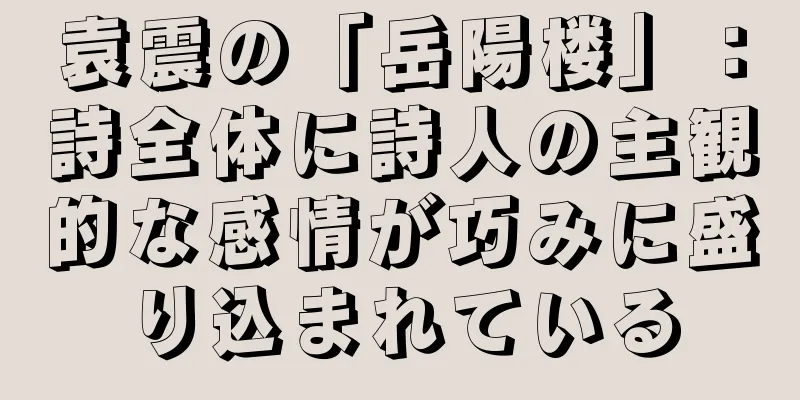 袁震の「岳陽楼」：詩全体に詩人の主観的な感情が巧みに盛り込まれている