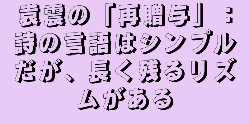 袁震の「再贈与」：詩の言語はシンプルだが、長く残るリズムがある