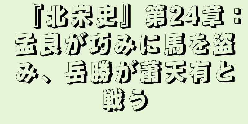 『北宋史』第24章：孟良が巧みに馬を盗み、岳勝が蕭天有と戦う