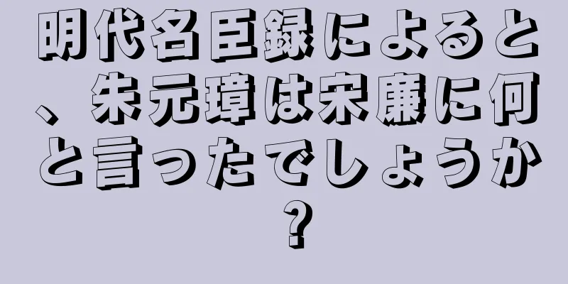 明代名臣録によると、朱元璋は宋廉に何と言ったでしょうか？